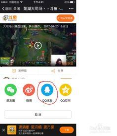 斗鱼怎么看视频回放,重温精彩瞬间，回顾直播精彩瞬间