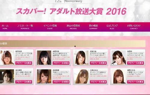 日本成人放送大赏,盘点年度最佳成人影视作品