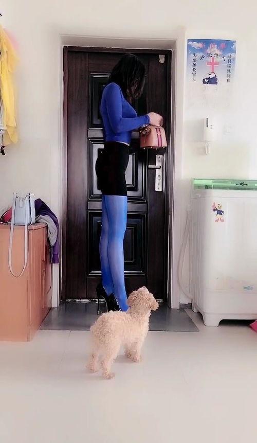 坠落的妈妈蓝丝袜,蓝丝袜下的秘密与救赎