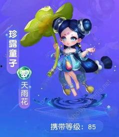 三丽鸥新宠物爆料视频,揭秘视频中的神秘萌物