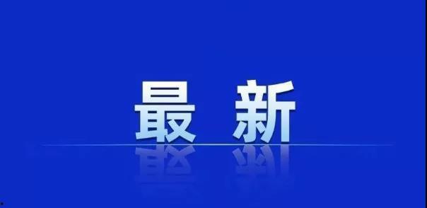 龙湾一号爆料最新消息视频,揭秘神秘视频背后的惊人真相