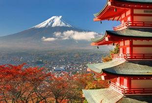 日本北鳩杏,探寻日本传统美食的韵味与传承