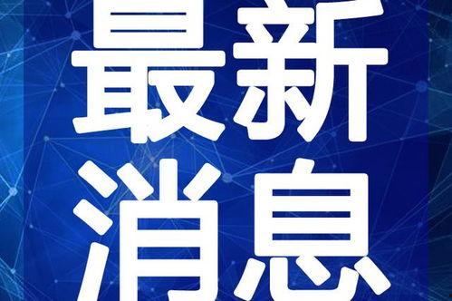 爆料盛泽新闻报道最新视频,视频揭露惊人真相