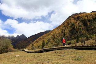 互吻动态视频,互吻动态视频捕捉浪漫瞬间