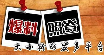 海南本地新闻爆料网,聚焦岛内热点事件，揭秘幕后真相