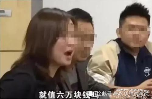 柴索视频,揭秘生活点滴，探寻美好瞬间