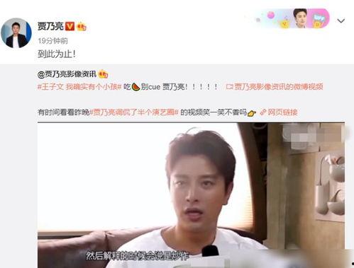 贾乃亮采访视频有哪些