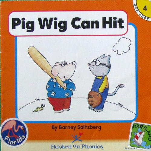 英语视频故事,Unraveling the Plot: A Summary of the English Video Story