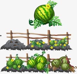 娱乐吃瓜头像图片图文并茂,揭秘明星幕后故事，趣味头像带你一探究竟